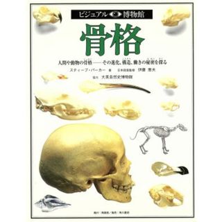 骨格 人間や動物の骨格　その進化、構造、働きの秘密を探る ビジュアル博物館３／スティーブパーカー(著者),リリーフ・システムズ(訳者)(科学/技術)