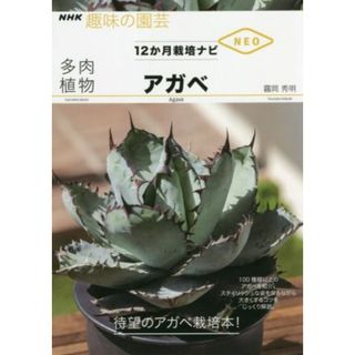 趣味の園芸　多肉植物アガベ ＮＨＫ趣味の園芸　１２か月栽培ナビＮＥＯ／靍岡秀明(著者)(住まい/暮らし/子育て)