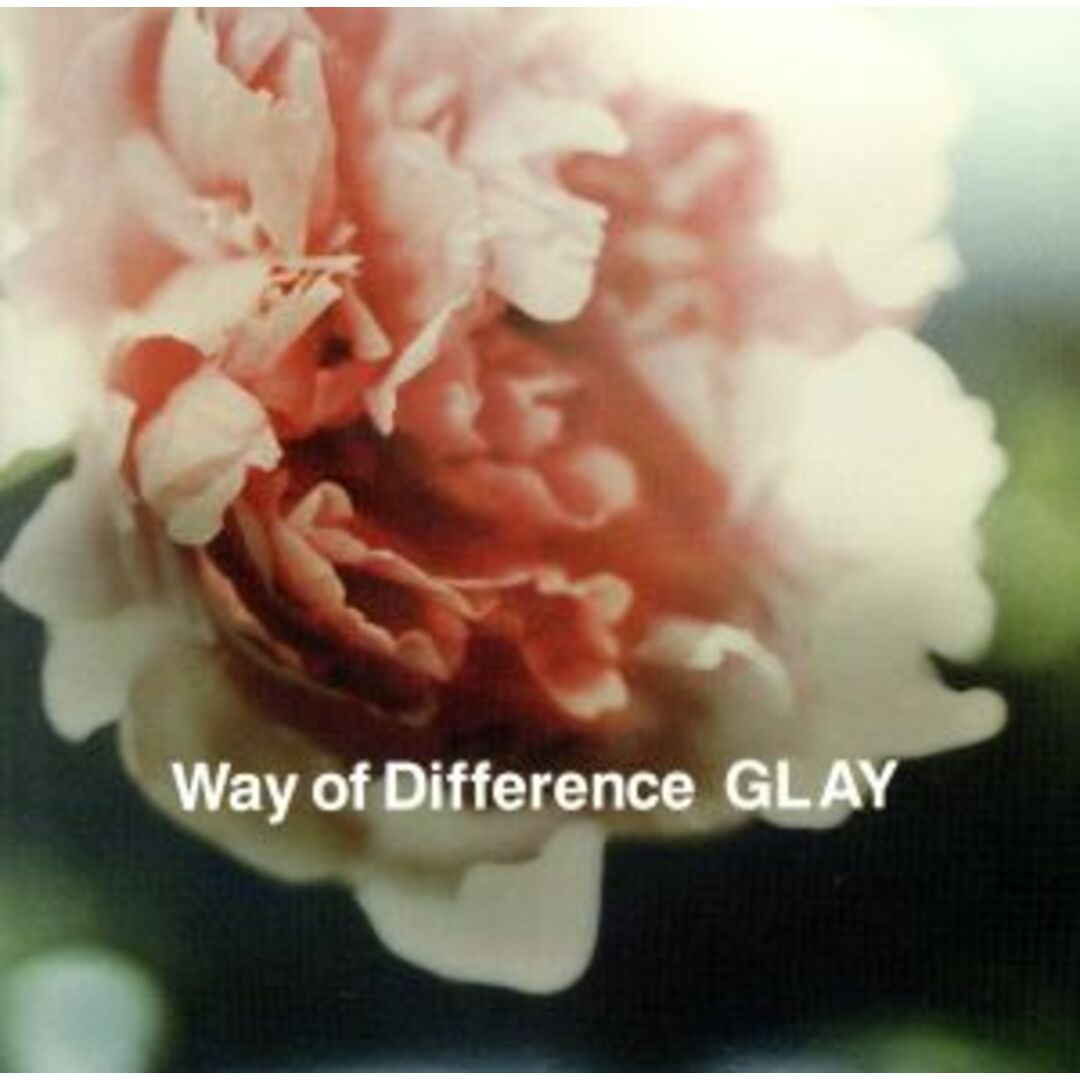 Ｗａｙ　ｏｆ　Ｄｉｆｆｅｒｅｎｃｅ エンタメ/ホビーのCD(ポップス/ロック(邦楽))の商品写真