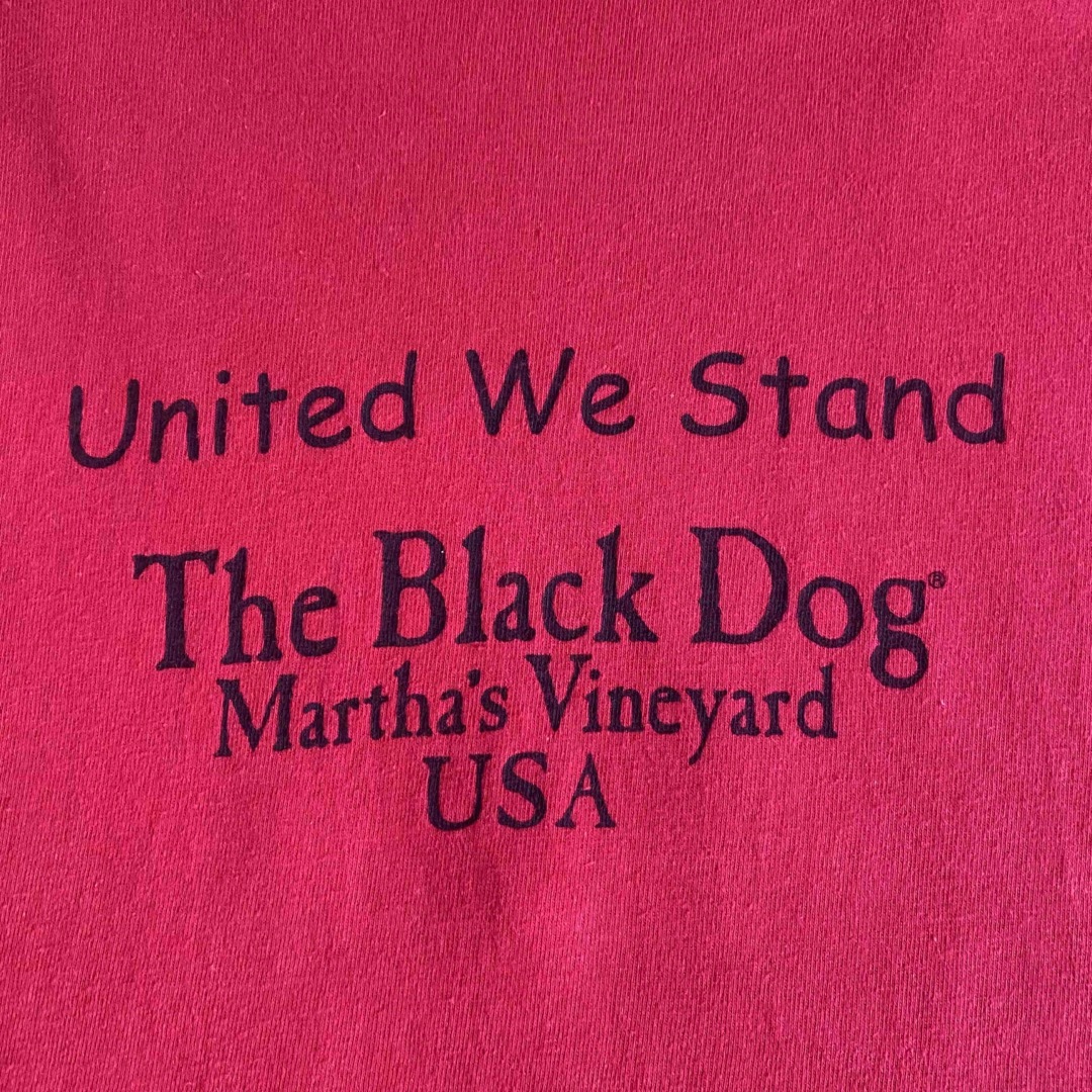 TheBlackDog USA国旗 プリント Tシャツ メンズのトップス(Tシャツ/カットソー(半袖/袖なし))の商品写真