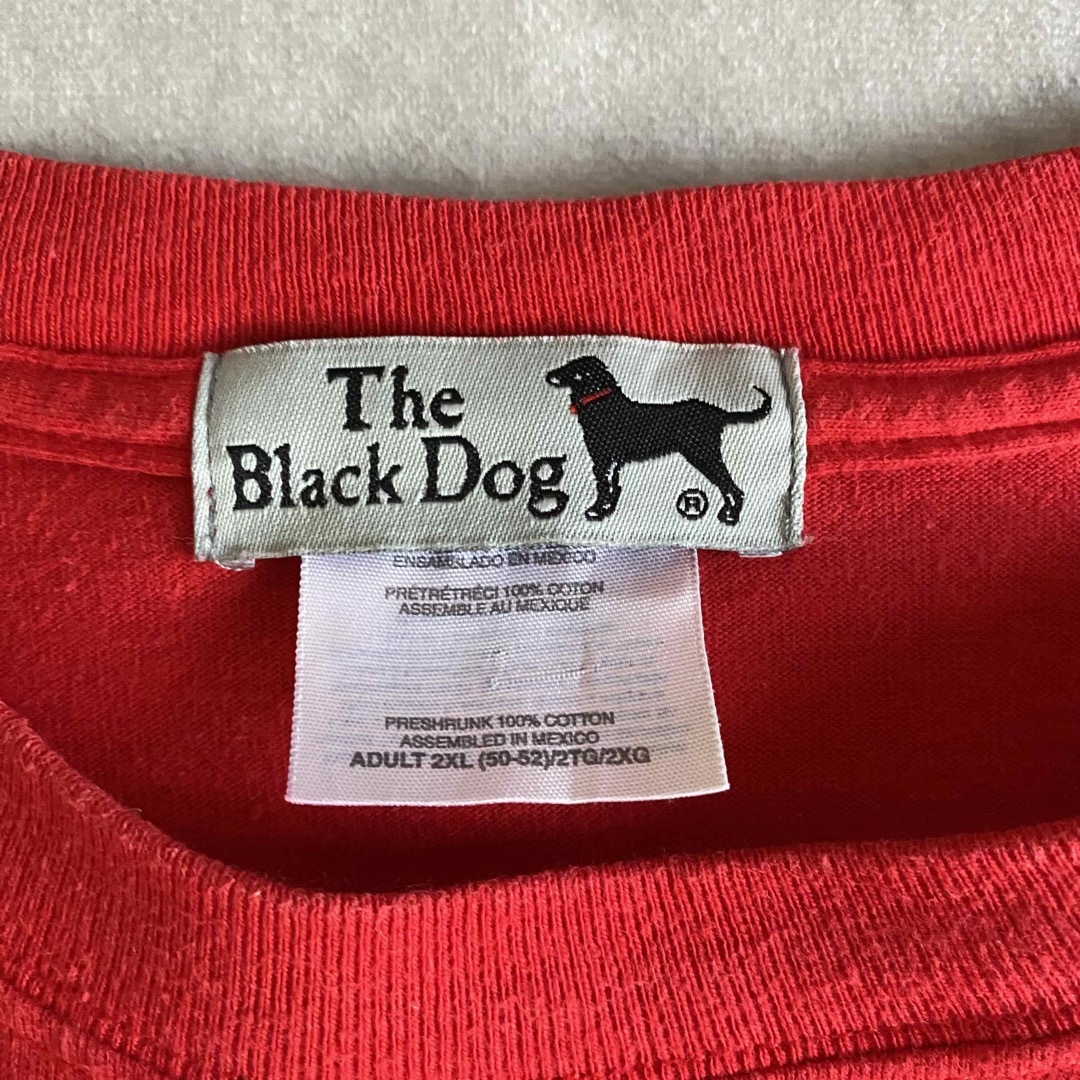 TheBlackDog USA国旗 プリント Tシャツ メンズのトップス(Tシャツ/カットソー(半袖/袖なし))の商品写真