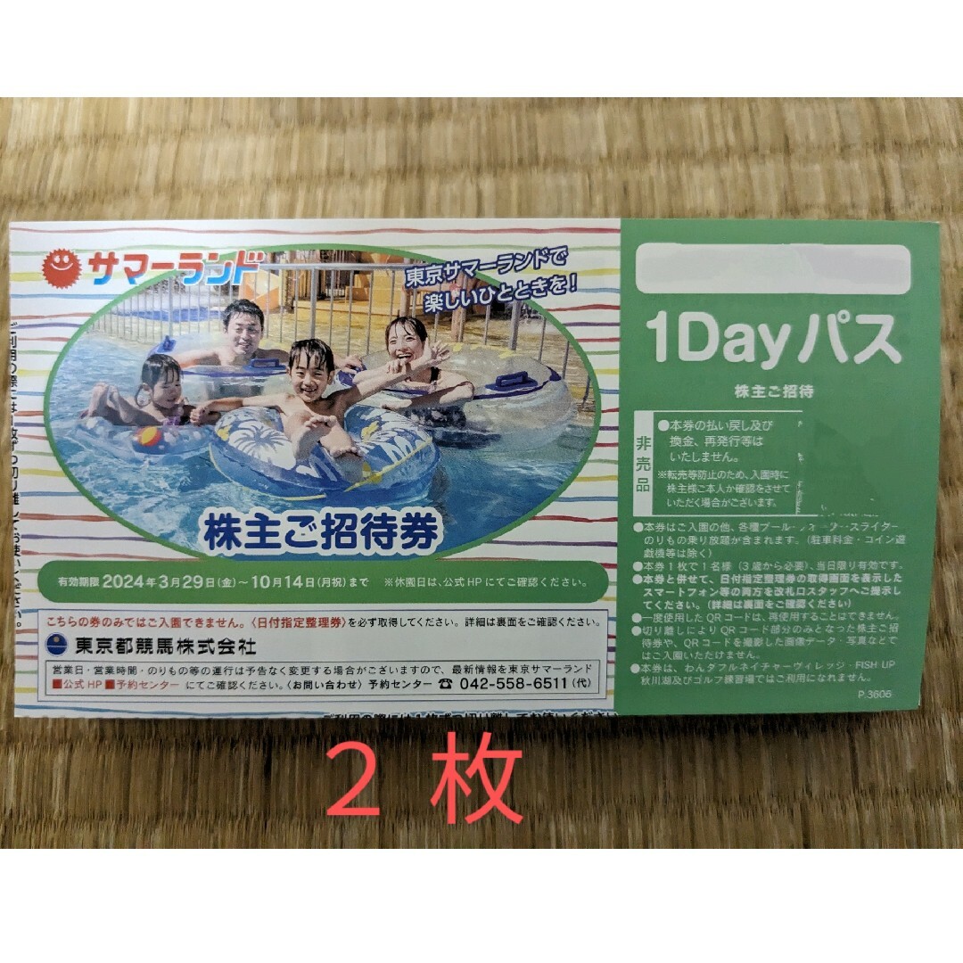 東京サマーランド 1DAYパス 2枚 チケットの施設利用券(プール)の商品写真