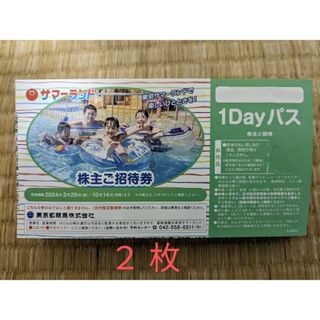 東京サマーランド 1DAYパス 2枚(プール)