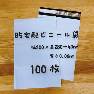 B5宅配ビニール袋 (ホワイト) 100枚(ラッピング/包装)