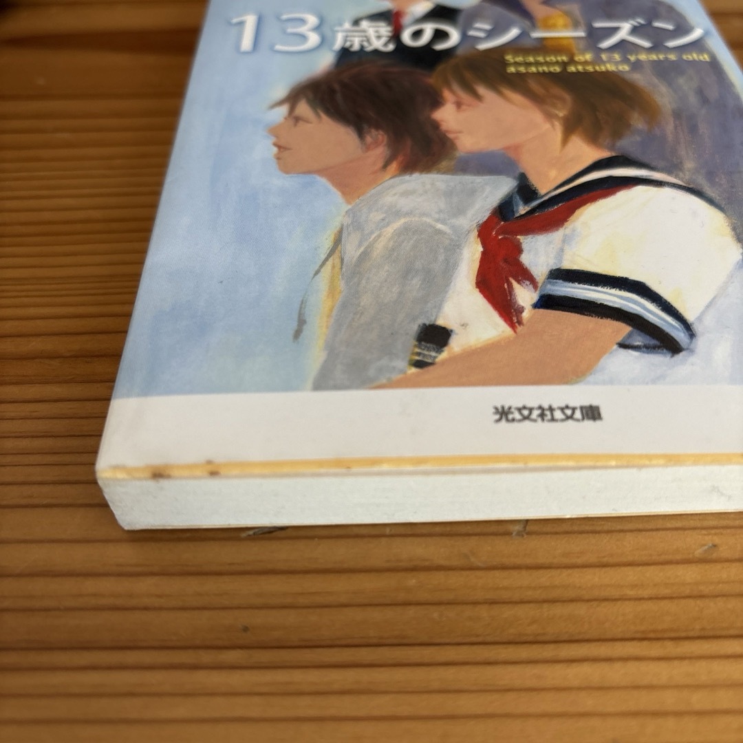 １３歳のシ－ズン エンタメ/ホビーの本(その他)の商品写真