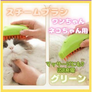 ★ 新品　キャット スチームブラシ USB充電 マッサージ グリーン　犬　猫(猫)