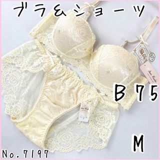 ブラジャーショーツセットＢ75    No.7197(ブラ&ショーツセット)