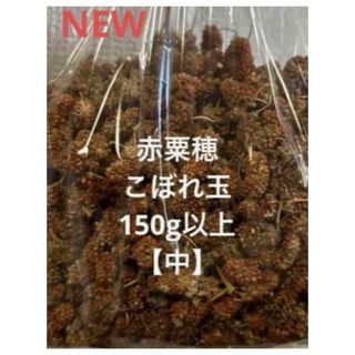 小鳥のおやつ　　赤粟穂　こぼれ玉　150g以上　即購入可◎