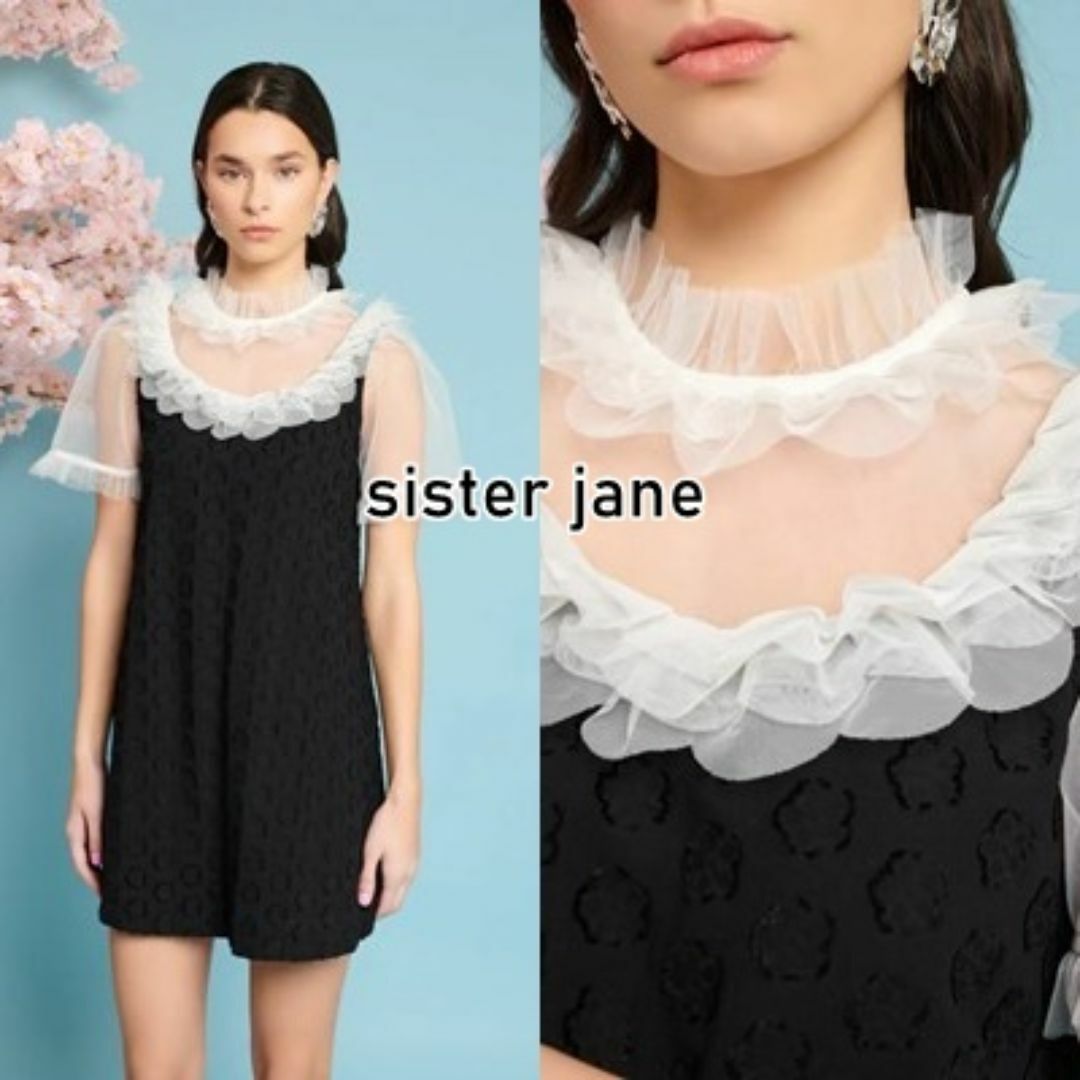 sister jane(シスタージェーン)のSister Jane シフォンカラー ジャガード ワンピース レディースのワンピース(ミニワンピース)の商品写真