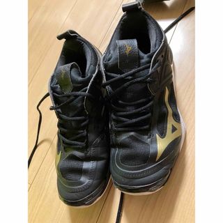 ミズノ(MIZUNO)のバレーボールシューズ　中古　24.0センチ(バレーボール)