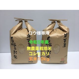 コウ様専用 無農薬コシヒカリ玄米10kg(5kg×2)、焼き海苔 特10枚(米/穀物)