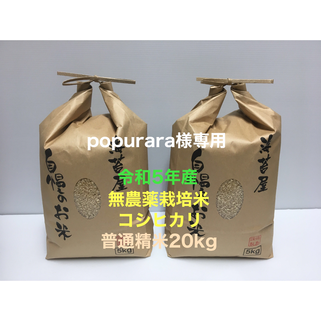 popurara様専用 無農薬コシヒカリ普通精米20kg、焼き海苔特20上並10 食品/飲料/酒の食品(米/穀物)の商品写真