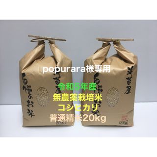 popurara様専用 無農薬コシヒカリ普通精米20kg、焼き海苔特20上並10(米/穀物)