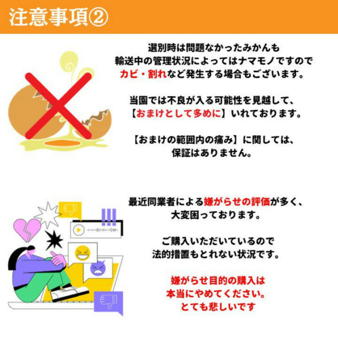 訳あり特価！減農薬!濃くて甘くて安心で安い！紅はっさく 八朔 5kg 食品/飲料/酒の食品(フルーツ)の商品写真