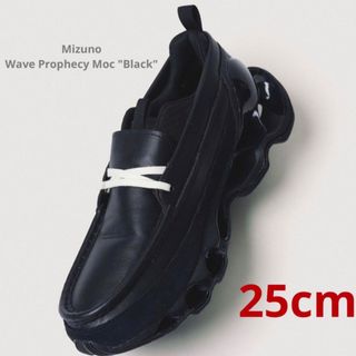 ミズノ(MIZUNO)のMizuno Wave Prophecy Moc "Black"  25cm(その他)