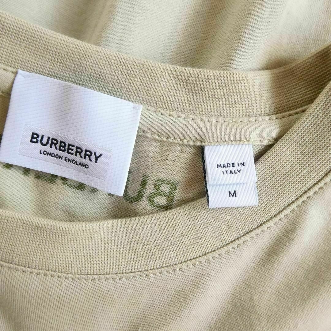 BURBERRY(バーバリー)の美品 BURBERRY プリント バックロゴ クルーネック 半袖 Tシャツ メンズのトップス(Tシャツ/カットソー(半袖/袖なし))の商品写真