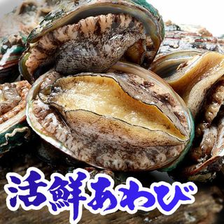 生食用冷凍蝦夷(えぞ)あわび１ｋｇ（500g詰め 10個入り×２パック）20個入(魚介)