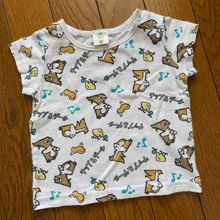 ディズニー(Disney)の【70cm】Tシャツ【チップとデール】(Ｔシャツ)