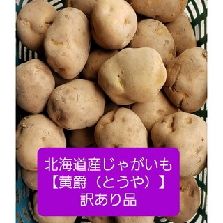◆北海道産 越冬じゃがいも【黄爵（とうや）】訳あり品 　約１０キロ(野菜)