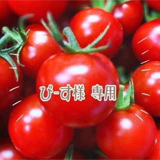 ミニトマト　千果３ｋｇ(野菜)