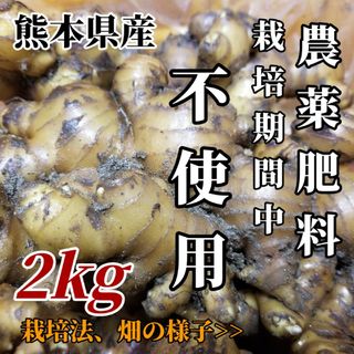 囲い生姜 無肥料 農薬栽培期間中不使用 熊本県産 2kg(野菜)