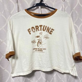 Lサイズ♡美品　ショート丈Tシャツ(Tシャツ(半袖/袖なし))