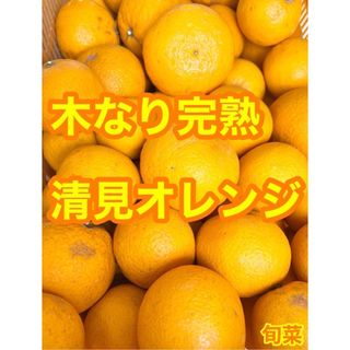 清見オレンジ　木なり完熟　秀品分　約5キロ　別格で甘い(フルーツ)