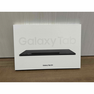 Galaxy Tab S9+ SM-X810NZAAXJP