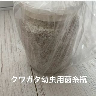 クワガタ幼虫用菌糸瓶(虫類)