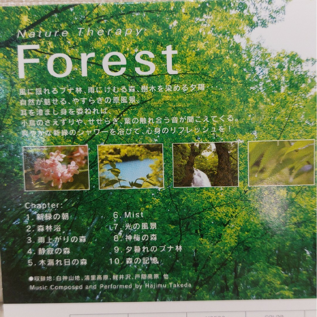 Nature Therapy  DVD   Forest エンタメ/ホビーのDVD/ブルーレイ(趣味/実用)の商品写真