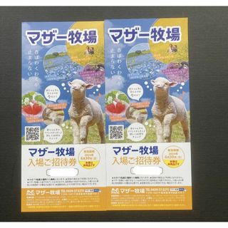 マザー牧場　入場ご招待券　2枚セット　2024年6月30日まで(遊園地/テーマパーク)