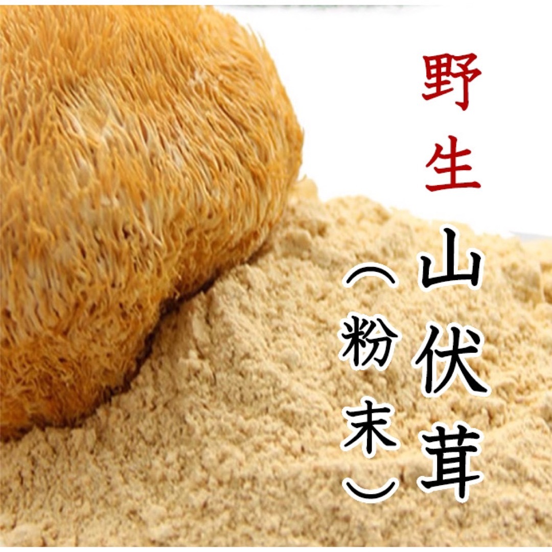 野生山伏茸粉末 ヤマブシタケパウダー100g 山伏茸 猿頭きのこ ほうとうくう 食品/飲料/酒の健康食品(その他)の商品写真