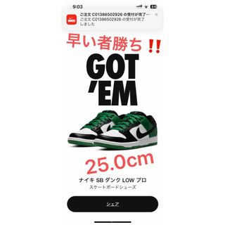 ナイキ(NIKE)の25.0cm【早い者勝ち！】Nike SB Dunk Low (スニーカー)