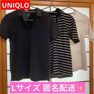 ユニクロ(UNIQLO)の【まとめ売り】UNIQLO ポロシャツ2点＋リブTシャツ1点　Lサイズ　計3点(ポロシャツ)