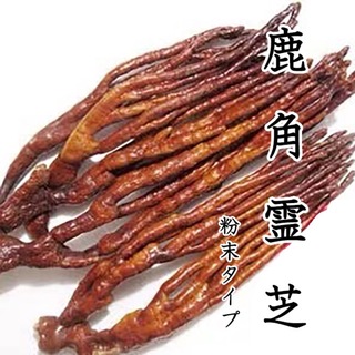 鹿角霊芝粉末50g 無添加 原料そのまま 長白山で育った大自然の恵み(その他)