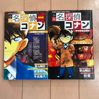 メイタンテイコナン(名探偵コナン)の小説名探偵コナン(その他)