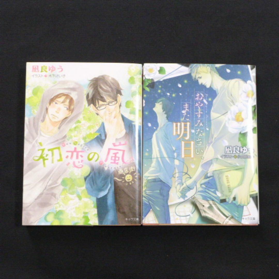 凪良ゆう　2冊セット★おやすみなさい、また明日★初恋の嵐 エンタメ/ホビーの本(文学/小説)の商品写真