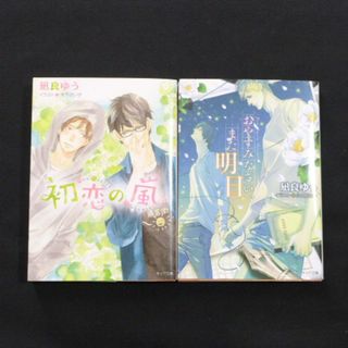 凪良ゆう　2冊セット★おやすみなさい、また明日★初恋の嵐(文学/小説)