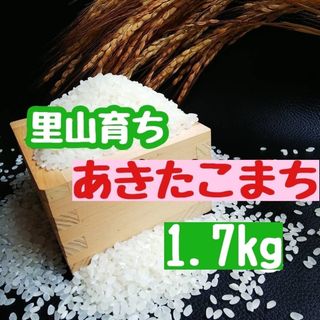 里山育ち　あきたこまち1.7kg(精米・令和5年産)(米/穀物)