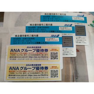 エーエヌエー(ゼンニッポンクウユ)(ANA(全日本空輸))のANA株主優待券3枚☆2024年5月31日まで　ANA株主優待(その他)