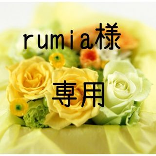 rumia様専用　お米 令和5年　愛媛県産ヒノヒカリ　白米　30㎏(米/穀物)