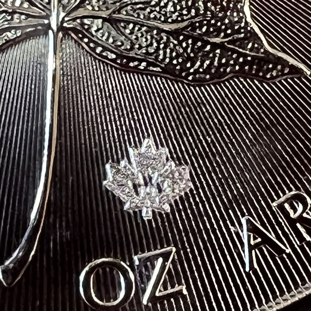 メイプルリーフ 銀貨 1オンス 2019年 エンタメ/ホビーの美術品/アンティーク(貨幣)の商品写真
