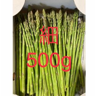 アスパラ　細500g(野菜)