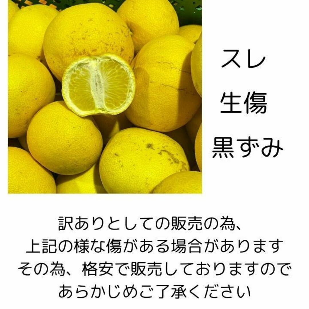 紅はっさく 訳あり 5㎏ 減農薬 大人気 八朔 和歌山 酸味と甘みがさっぱり 食品/飲料/酒の食品(フルーツ)の商品写真