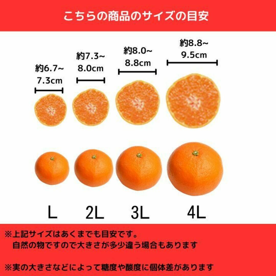 紅はっさく 訳あり 5㎏ 減農薬 大人気 八朔 和歌山 酸味と甘みがさっぱり 食品/飲料/酒の食品(フルーツ)の商品写真