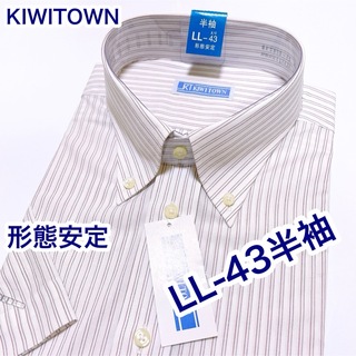 KIWITOWN 形態安定　半袖ワイシャツ　LL-43 ボタンダウン(シャツ)
