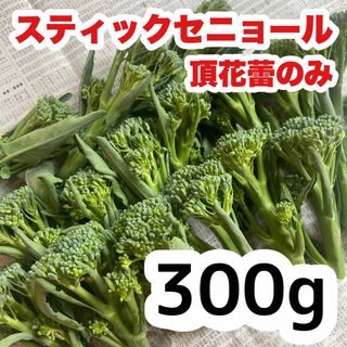 300g 高知県産 スティックセニョール  頂花蕾 即購入OK s588(野菜)