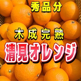 清見オレンジ　木なり完熟　秀品分　約2キロ　別格で甘い(フルーツ)