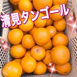 清見オレンジ　木なり完熟　ご家庭用　約5キロ　別格で甘い(フルーツ)