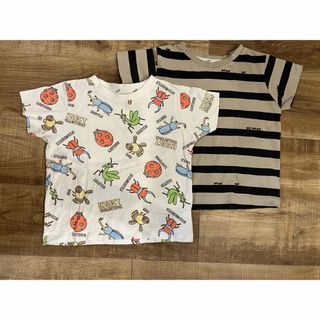 インセクトコレクション(INSECT　COLLECTION)の【INSECT COLLECTION】Tシャツ2枚　100サイズ(Tシャツ/カットソー)